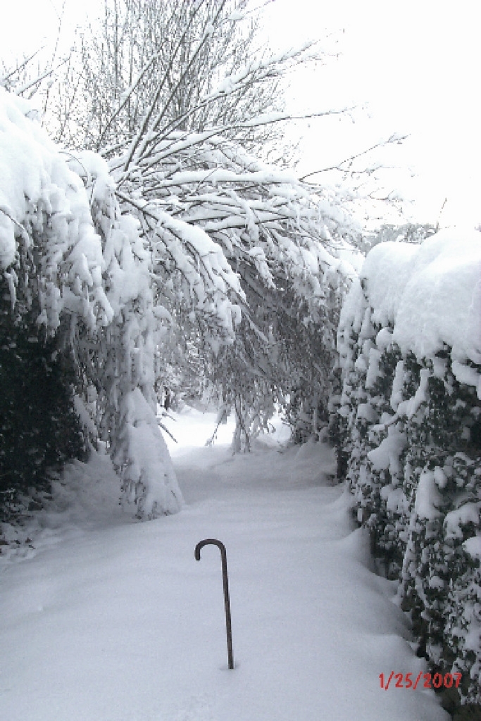 L'hiver dans la commune - Jouillat