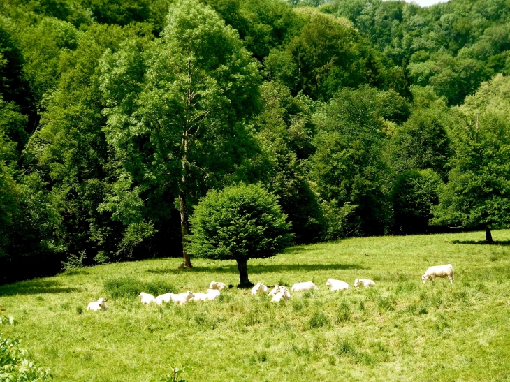 Aux alentours - Le Bourg-d'Hem