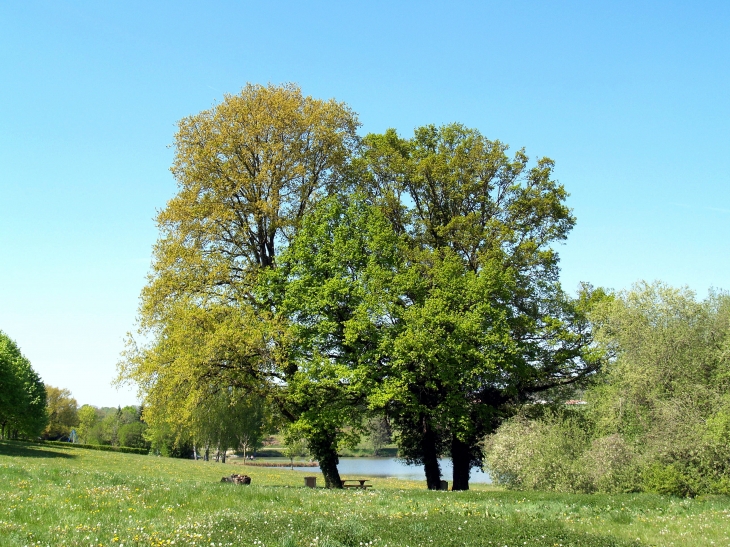 Au bord de l'étang - Marsac