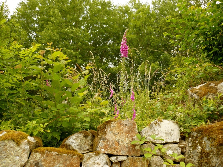 Aux alentours - Poussanges