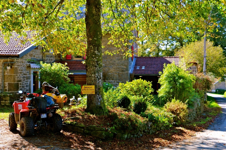 Le Restaurant. - Royère-de-Vassivière