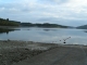 Photo suivante de Royère-de-Vassivière Vassivières le lac en automne