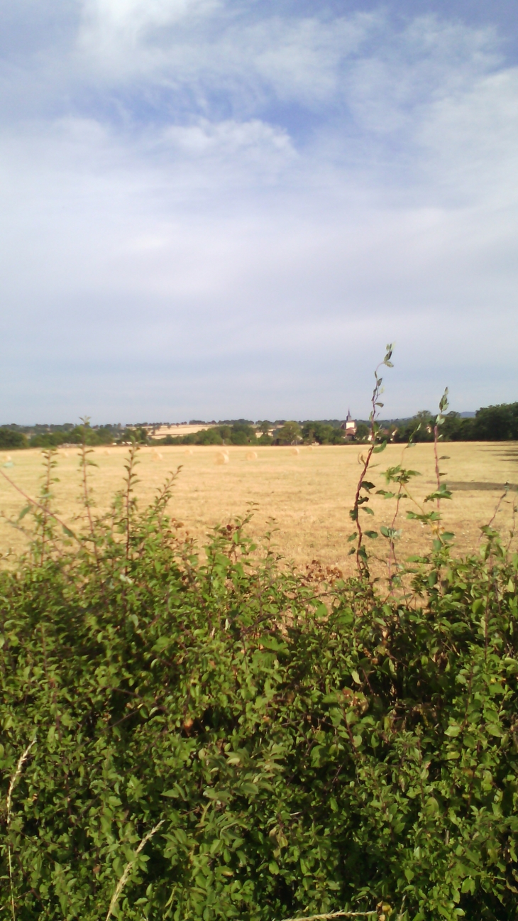 Hameau de mazerat - Tardes