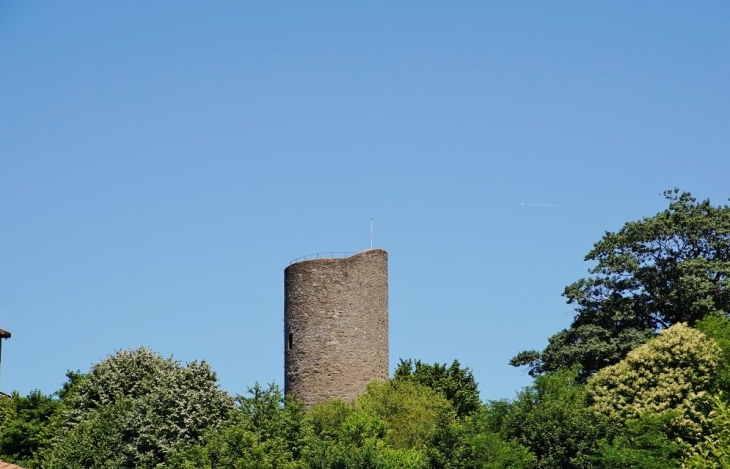 Ruines du Château - Châlus