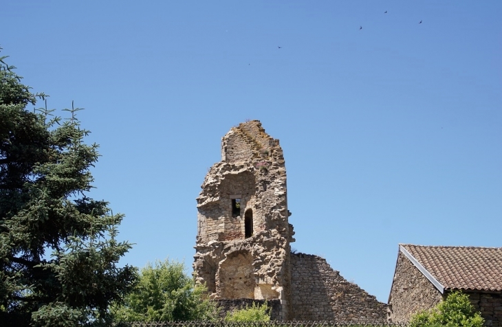 Ruines du Château - Châlus