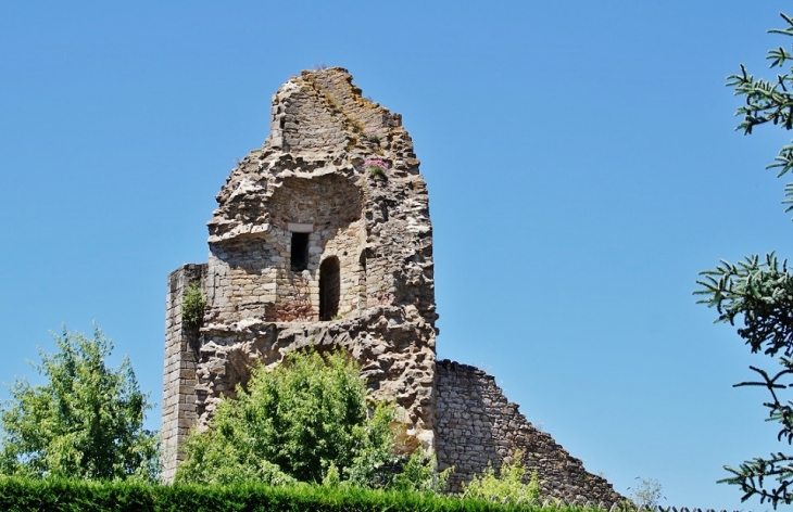 Ruines du Château - Châlus