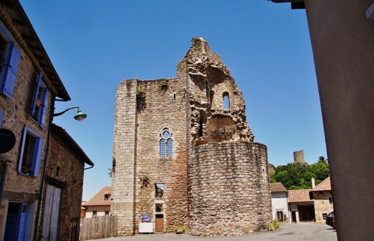 Ruines du Château - Châlus