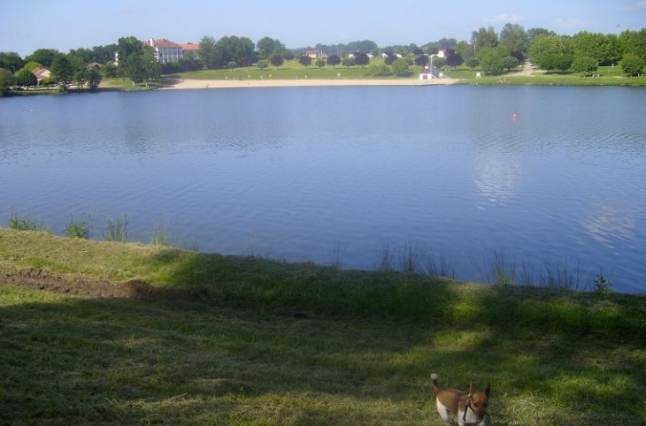 Lac - Châteauneuf-la-Forêt