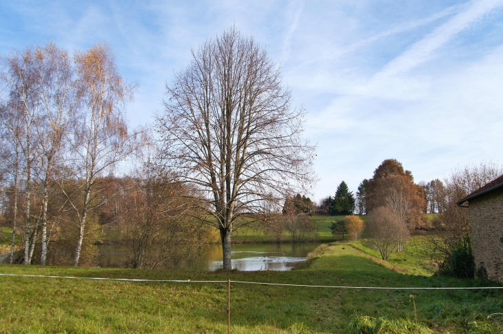 Aux alentours. - Dournazac