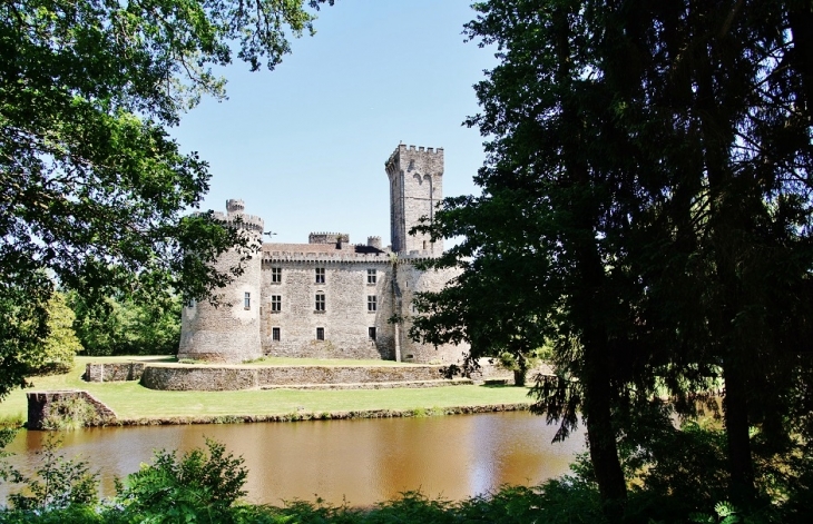 Château de Montbrun - Dournazac