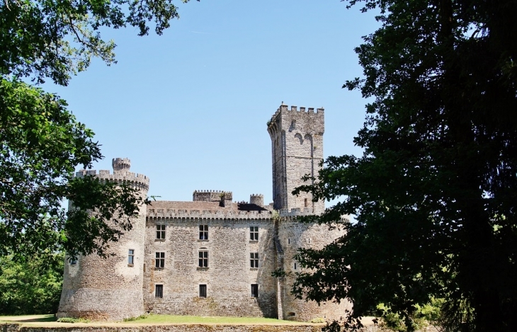 Château de Montbrun - Dournazac