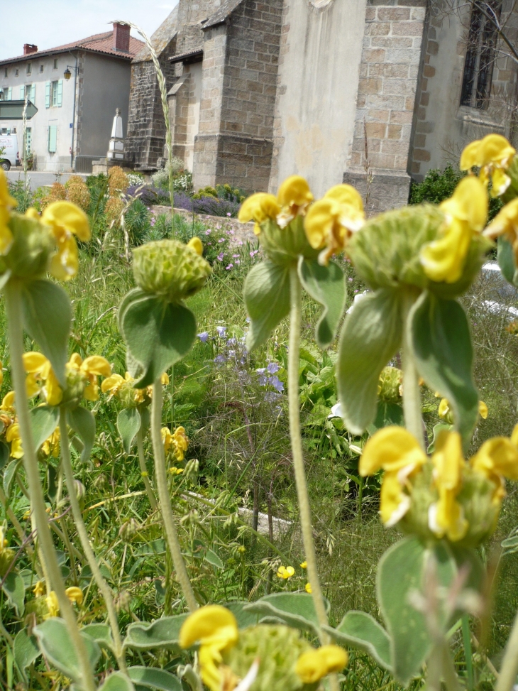 Jardin fleuri auprès de l'église. - Flavignac