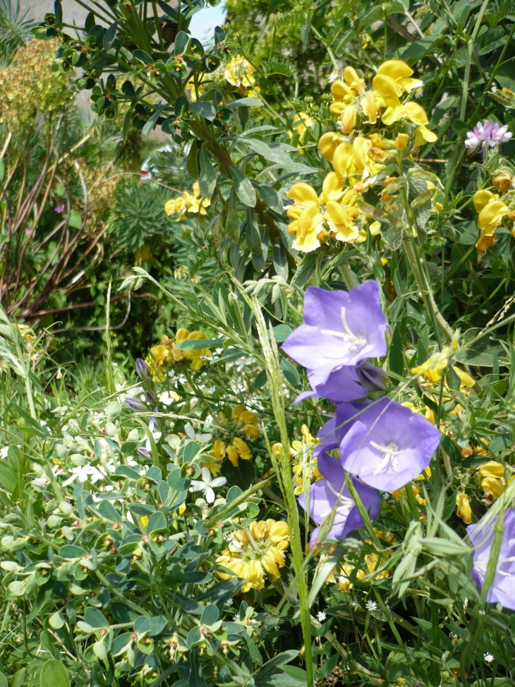 Jardin fleuri auprès de l'église. - Flavignac