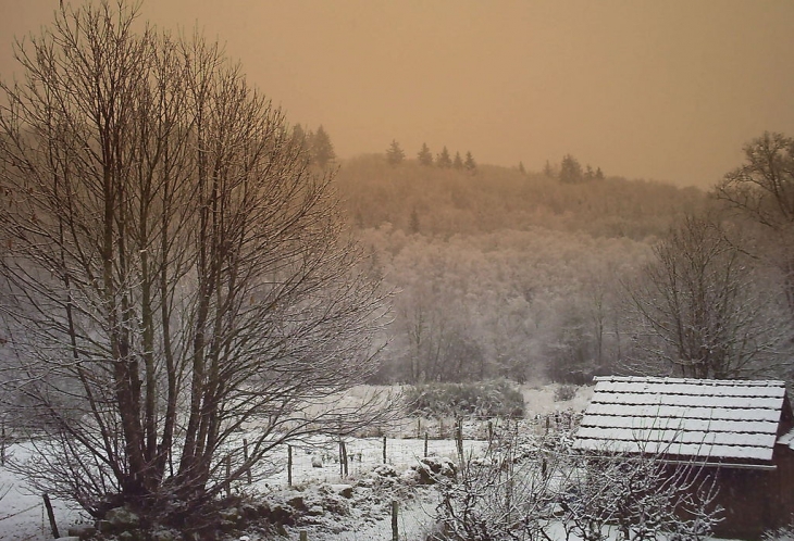 Entre les bordes et puy courty - Jabreilles-les-Bordes