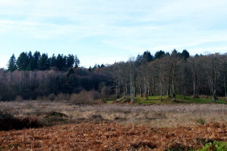 Aux alentours. - La Chapelle-Montbrandeix