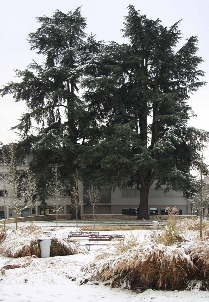 Parc de la médiathèque - Limoges