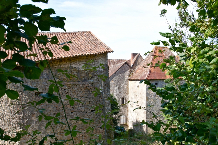 Le chateau près de l'église de Saint-Amand. - Marval