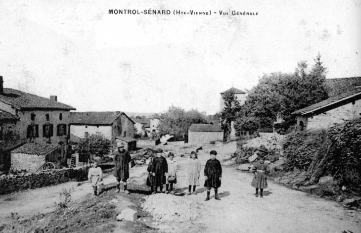 Vue générale, vers 1910 (carte postale ancienne). - Montrol-Sénard