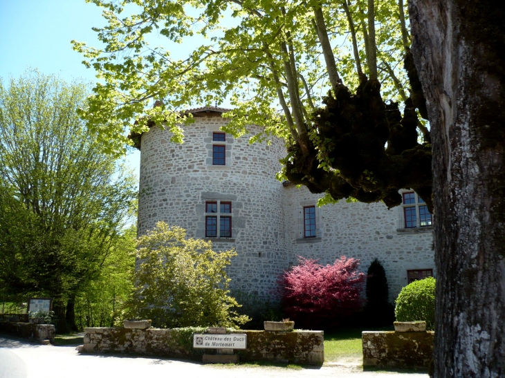 Château du XV° - Mortemart