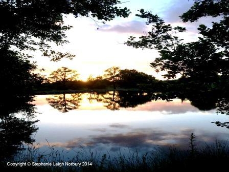 Le Plan d'eau au crépuscule  - Oradour-Saint-Genest