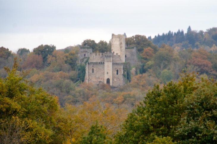 Le Château de Chalucet est une forteresse médiévale. Donjon carré du XIIe siècle. - Saint-Jean-Ligoure