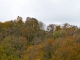 Ruines du Château de Chalucet.