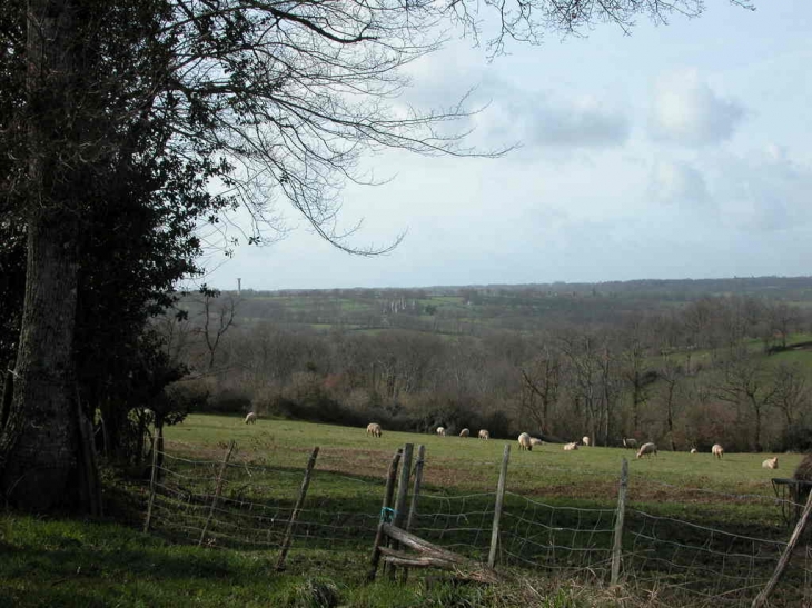 Vue sur campagne - Saint-Sornin-la-Marche