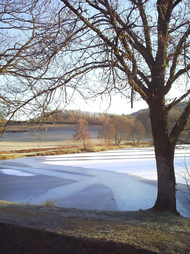 Etang gelé - Saint-Sulpice-Laurière