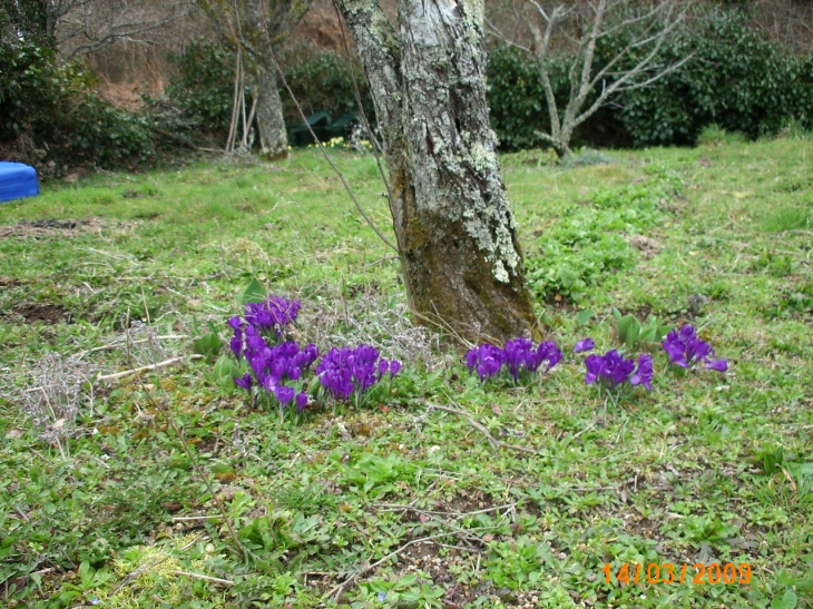 Gaudeix fleuri - Saint-Sulpice-Laurière