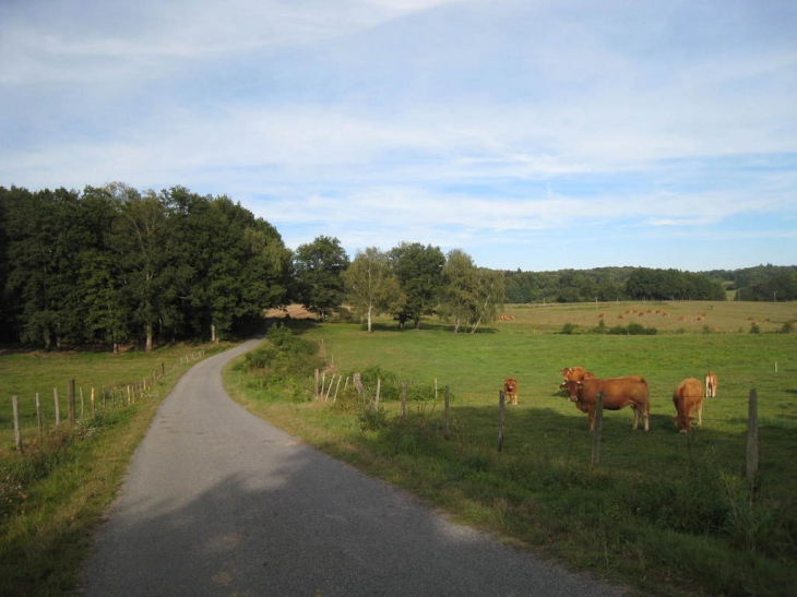 Route  mas du coudier - Saint-Sylvestre