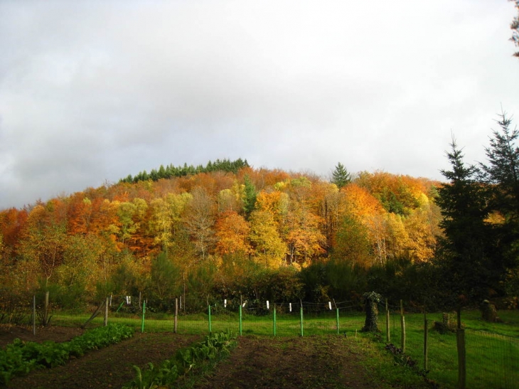 Automne à saint sylvestre - Saint-Sylvestre