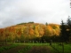 Automne à saint sylvestre