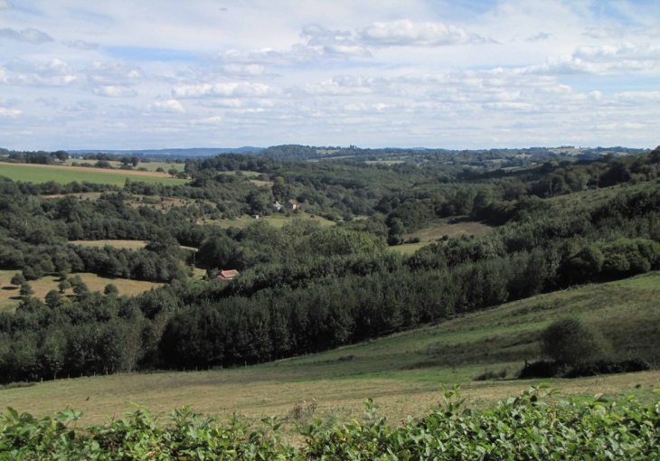 Du parc du château vue sur la vallée de la Briance - Vicq-sur-Breuilh