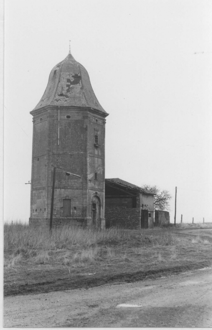 Colombier de St Pierremont - Avril