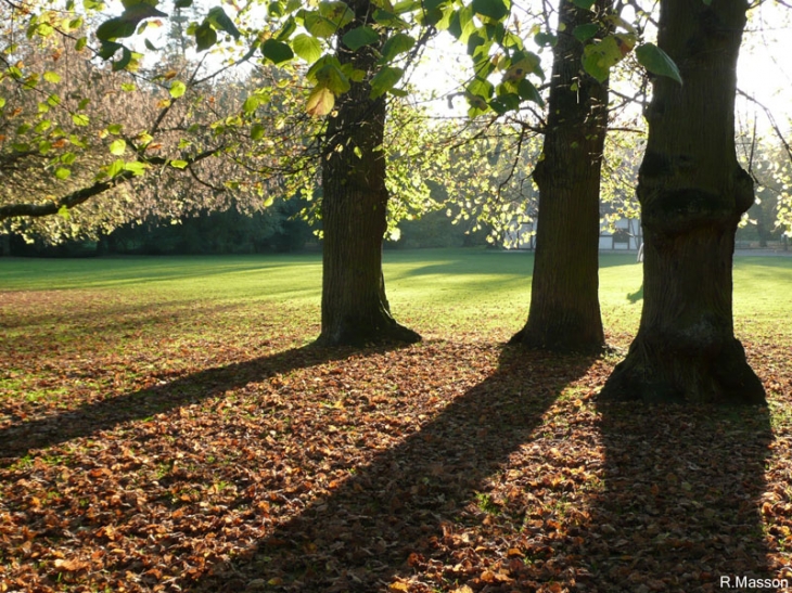 Fin de journée au parc du chateau - Champigneulles