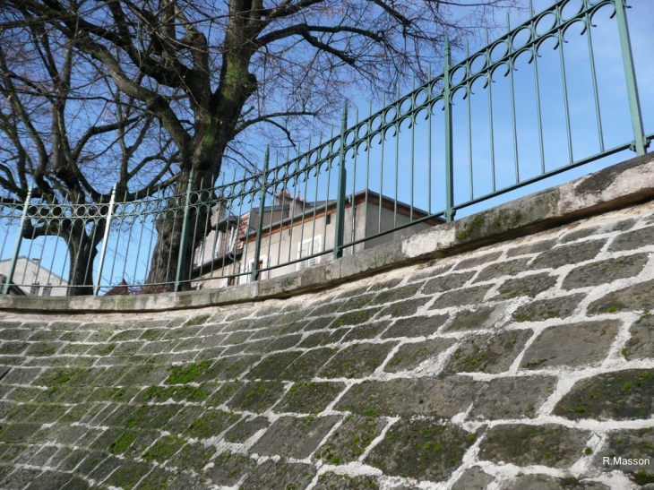 Les tilleuls de la rue de l'eglise - Champigneulles