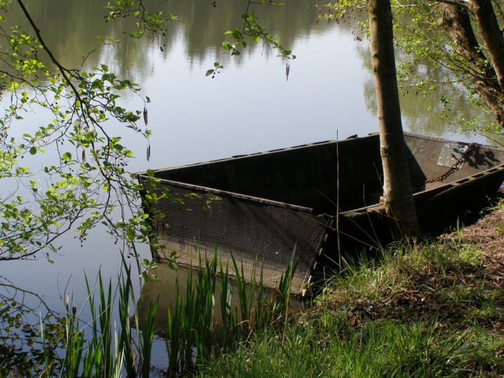 Etang de choloy - Choloy-Ménillot