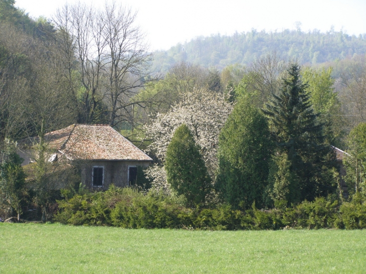 Propriété privé prés de l'etang - Choloy-Ménillot