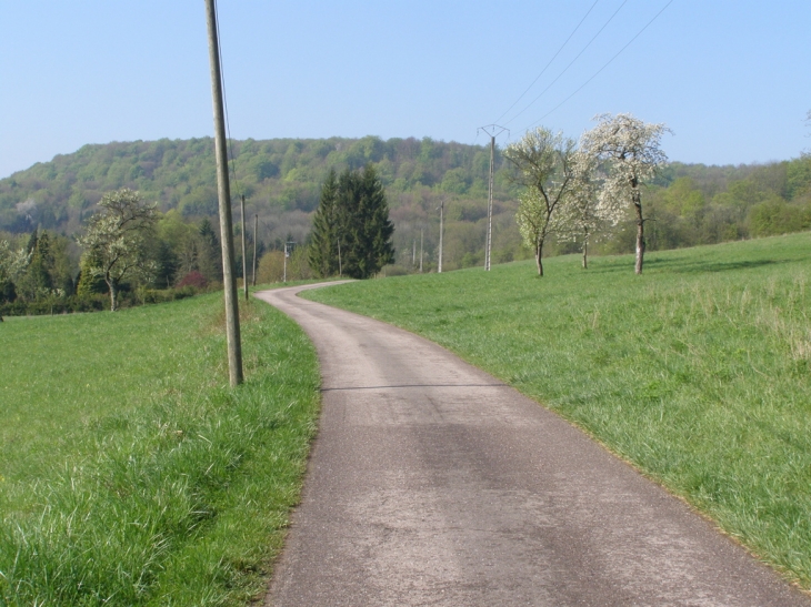 Route vers le val de passey - Choloy-Ménillot