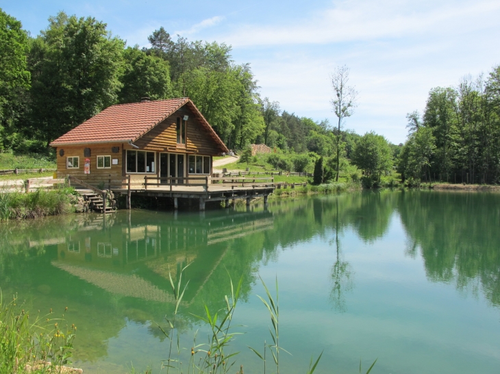 Etang du Val de Passey - Choloy-Ménillot