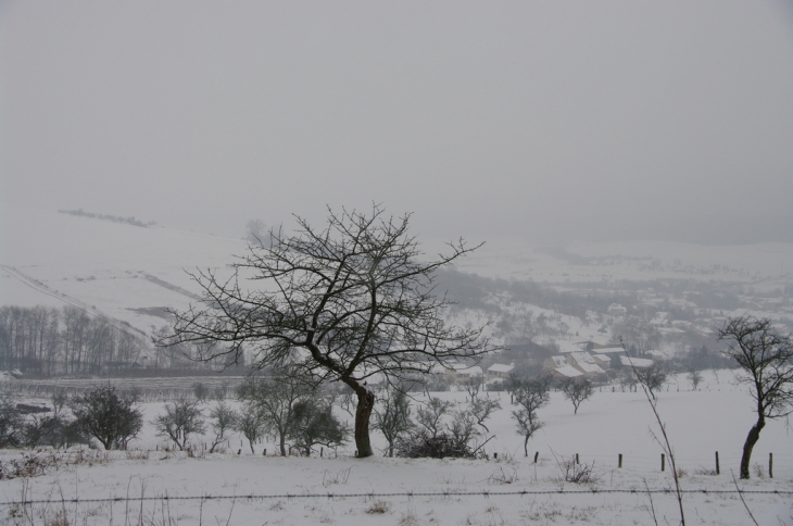 Faulx sous la neige