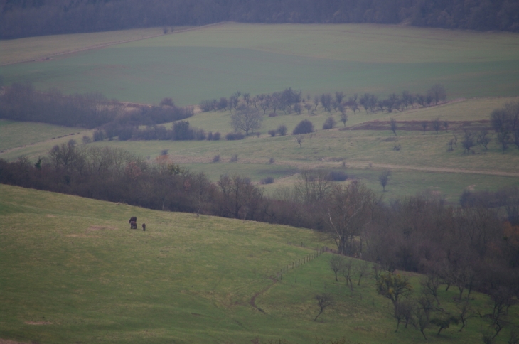 Vue de Faulx