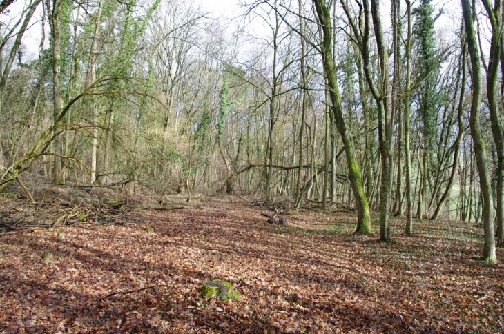 Les bois de Faulx