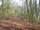 Photo précédente de Faulx les bois de Faulx