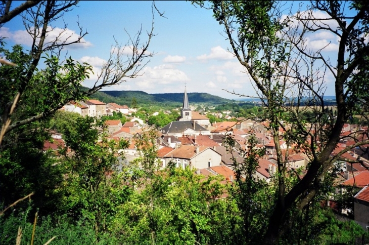 Vue générale de Foug