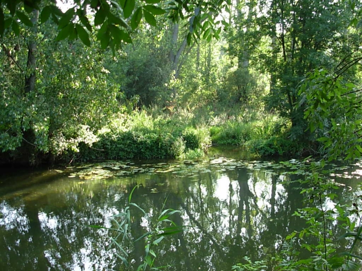 La rivière - Hatrize