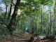 chemin parallèle à la Route de Moyeuvre (côte des bourriques)