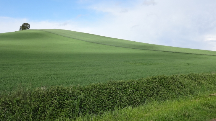 Et non, ce n'est pas Window, c'est Loromontzey ! 