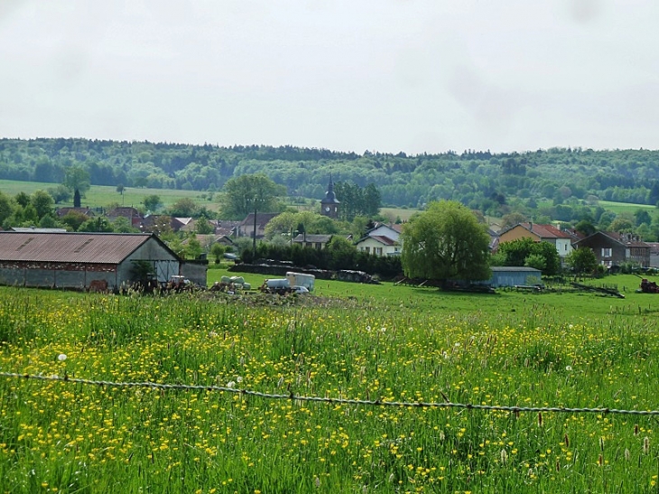 Vue sur le village - Pexonne