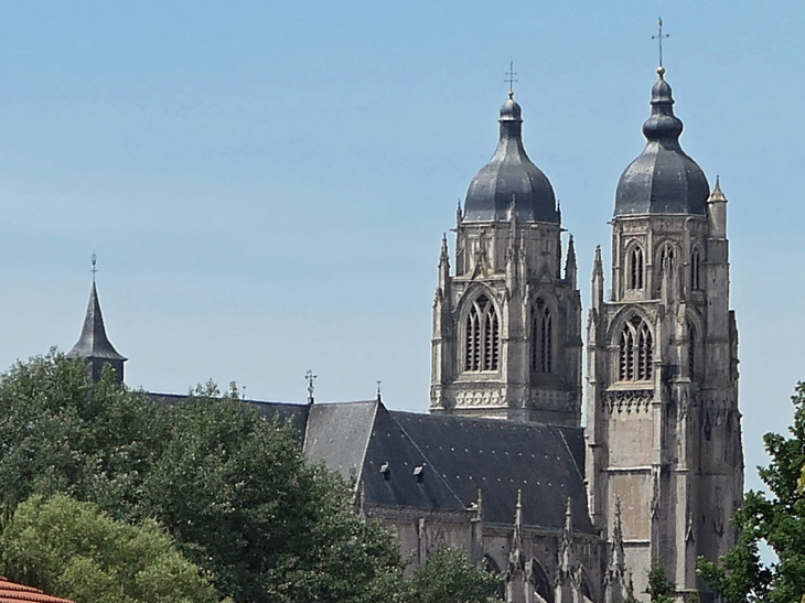 Vue sur la basilique Saint Nicolas - Saint-Nicolas-de-Port